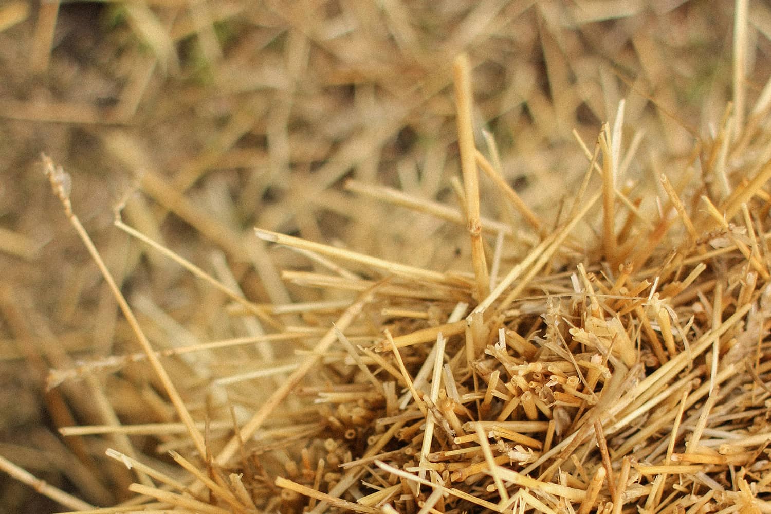 Découvrir l'isolation paille Concept Bois