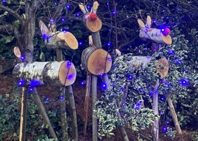 Des rennes en terrasse pour NOEL